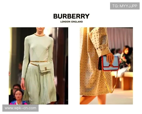 巴宝莉娱乐：引领全球娱乐潮流的奢华品牌新篇章